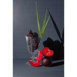 Stargazing Reed Diffuser